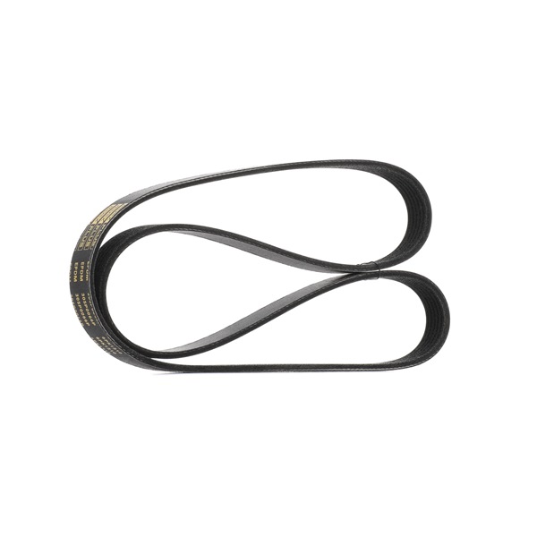 Numéro OEM LF50 15 909A - Courroie Poly-V 305P0066P FORD, OPEL, FIAT, NISSAN, VOLVO