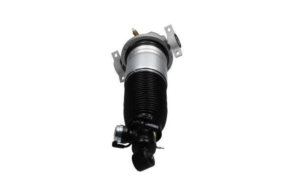 Número OEM 7L8 616 020 C - Amortecedor pneumático SAS-10043 VW, AUDI, PORSCHE