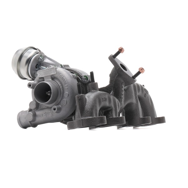 Turbolader 2234C10602R RIDEX REMAN 038253016LX mit Montageanleitung