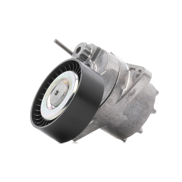 Belt Tensioner, v-ribbed belt 541V0031P RIDEX PLUS 646 200 05 70 MERCEDES-BENZ, SMART