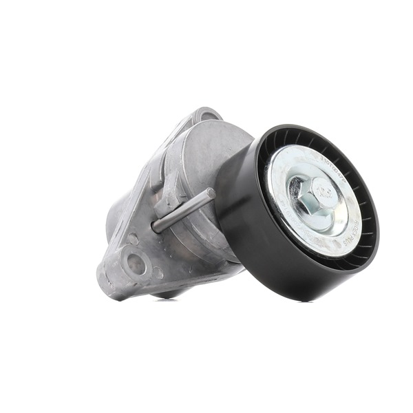 Rolo tensor, correia trapezoidal estriada 310T0047P RIDEX PLUS CITROËN C3 II (SC) 1.1 i 2012 60 cv