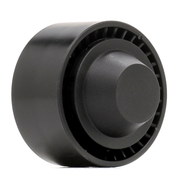 RIDEX PLUS 541V0025P tensioner pulley, v-ribbed belt RENAULT Clio III Hatchback (BR0/1, CR0/1) 1.2 16V 78hp 2006