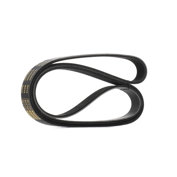 Correia trapezoidal estriada 305P0072P RIDEX PLUS BMW 7 (E65, E66, E67) 740 i, Li 2007 306 cv
