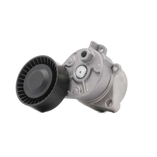 Numéro OEM 1 748 832 - Galet tendeur de courroie d'accessoire 541V0007P BMW, FORD, MINI, LAND ROVER