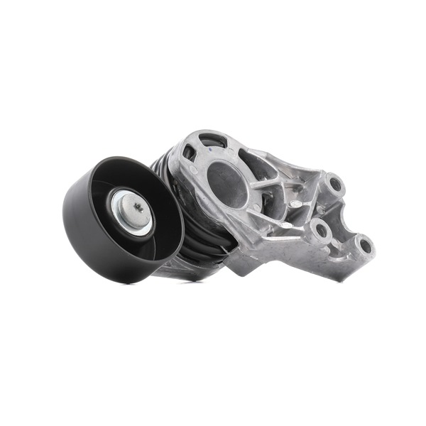 Tensor de correia, correia trapezoidal estriada 541V0027P RIDEX PLUS SKODA Fabia I Hatchback (6Y2) 1.4 TDI 2007 70 cv