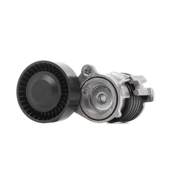 Rullo tenditore cinghia Poly-V 310T0057P RIDEX PLUS Volkswagen Polo V Hatchback (6R1, 6C1) 1.2 2009 70 CV