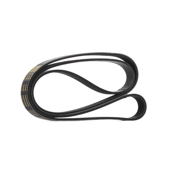 RIDEX PLUS 305P0402P Serpentine belt ALFA ROMEO 155 (167) 1.7 T.S. 16V 140 hp Petrol 1997