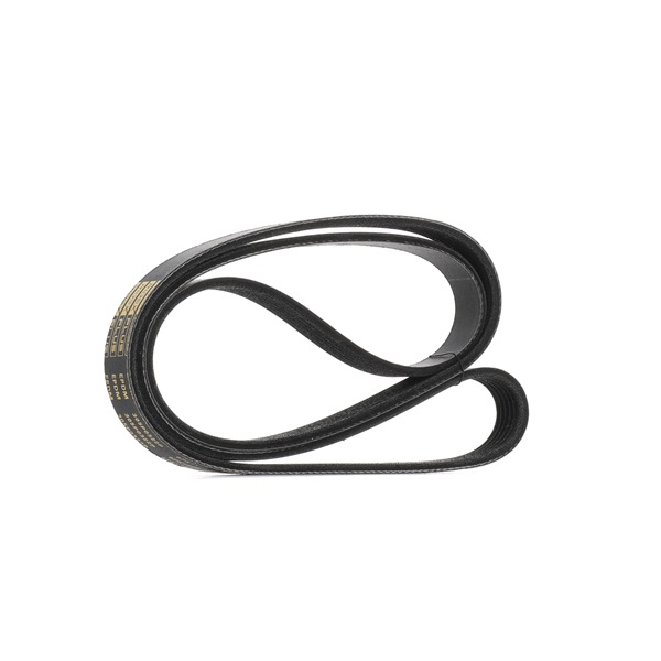 Correia trapezoidal estriada 305P0322P RIDEX PLUS FORD C-Max (DM2) 1.8 TDCi 2010 115 cv