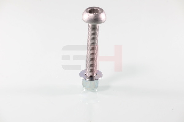 OEM-nummer N 909 548 01 S1 - Schroef, aseind GH-399961 VW, AUDI, SKODA, SEAT