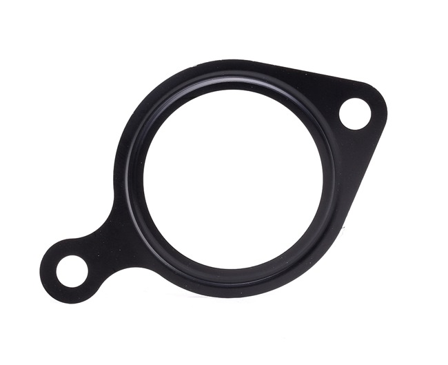 Gasket / Seal 422.920 ELRING