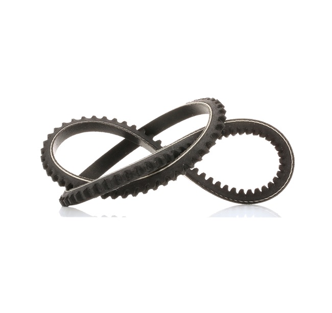 SKF VKMV 10AVx730 v-belt SEAT Alhambra I (7V8, 7V9) 1.9 TDI 90hp 2006