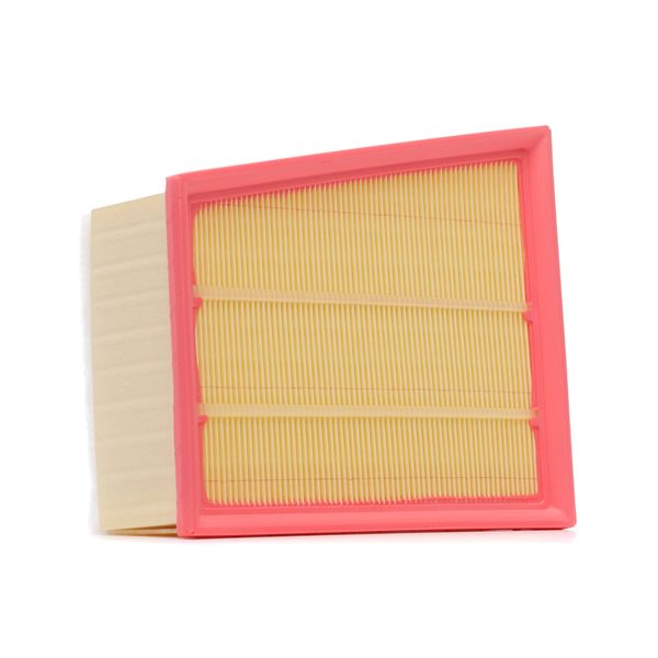 order RIDEX PLUS (8A0676P) Air filter