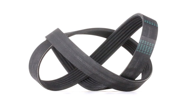 buy CONTITECH (6PK1005) Serpentine belt