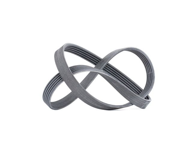 Número OEM 20441019 - Correa trapecial poli V 6PK1318 AUDI, OPEL, FIAT, VOLVO, SUZUKI