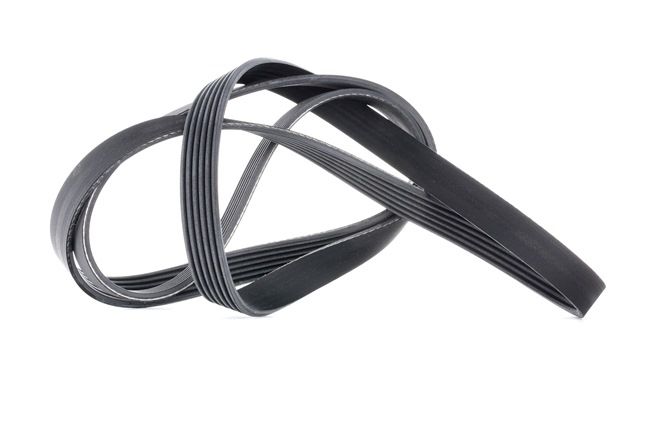 Correia trapezoidal estriada 6PK1856 CONTITECH AUDI A4 B6/B7 Cabrio (8H7, 8HE) 2.4 2005 163 cv