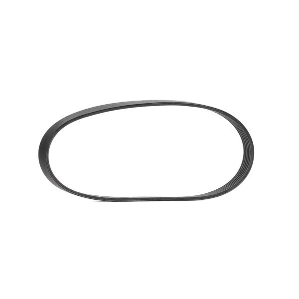 Pasek klinowy wielorowkowy 6PK737 CONTITECH Volkswagen Caddy V Kombi (SBB, SBJ) 1.6 SRE 2025 110 KM
