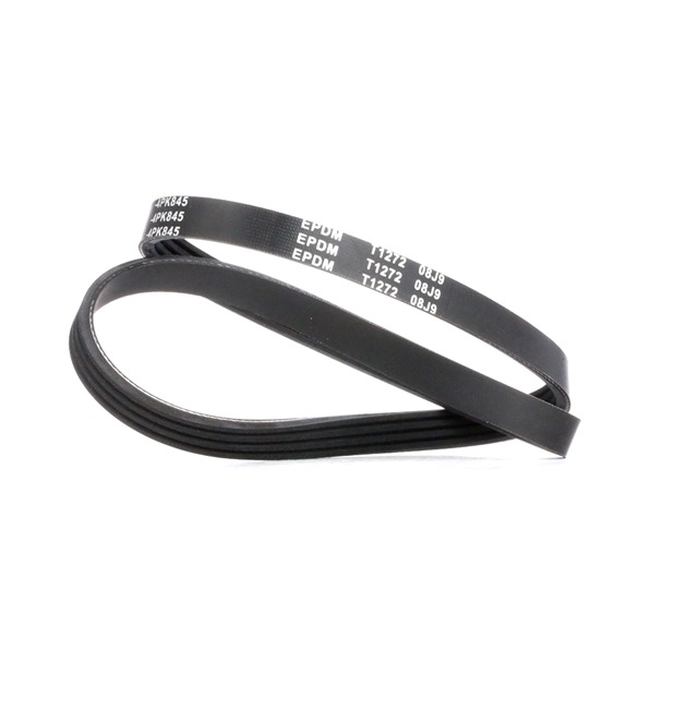 MEYLE | Correia trapezoidal estriada ORIGINAL Quality 050 004 0845 HONDA HR-V I (GH) 2011 baratos online