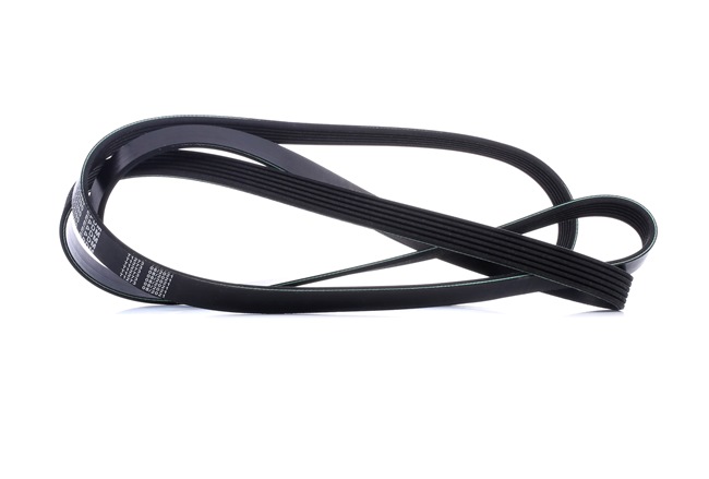 buy MEYLE (050 006 2390) Serpentine belt
