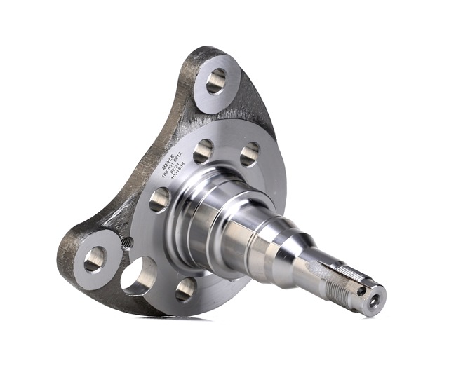 acquisto online MEYLE Perno fuso 100 501 0012 Volkswagen 27,79 €