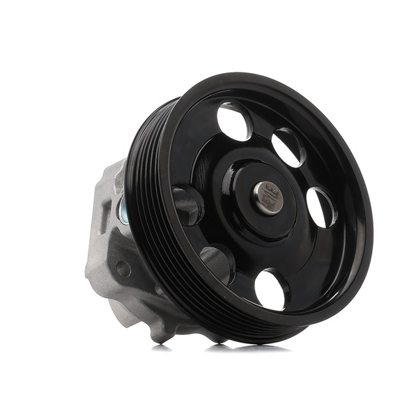 acquisto online MEYLE Pompa Acqua 613 220 0002 Alfa Romeo 40,37&nbsp;&euro;