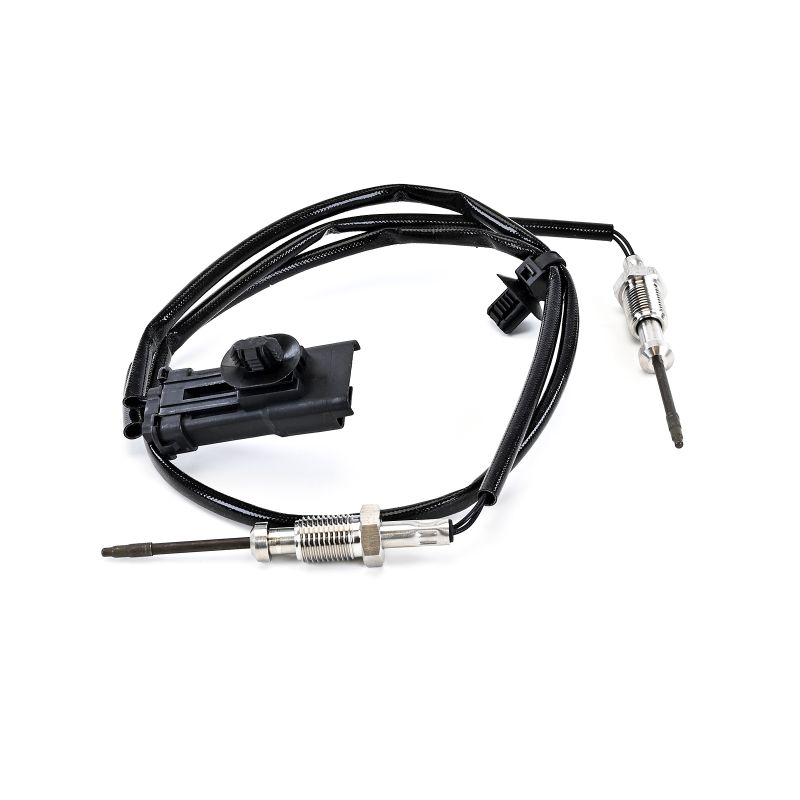 DELPHI | Zylinderkopf Temperatursensor TS30347-12B1 PEUGEOT 2008 II (U_) 2022 günstig online