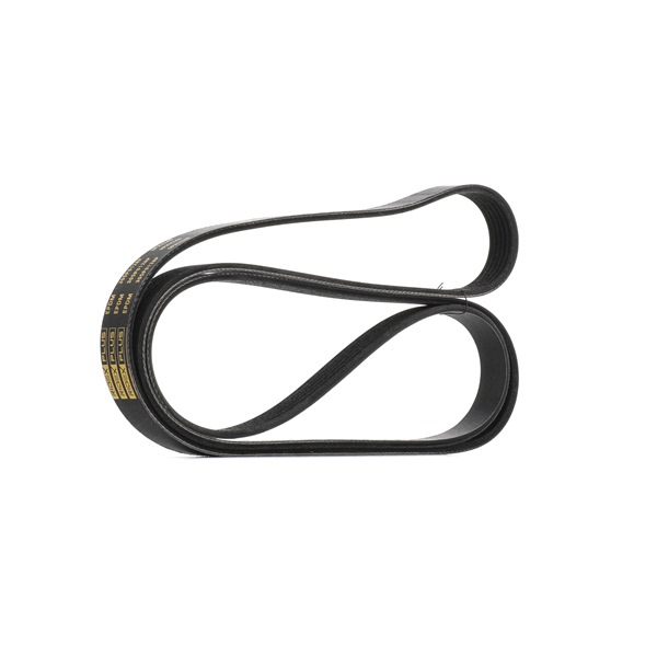 Número OEM 5 3032 125AB - Correia trapezoidal estriada 305P0128P VW, MERCEDES-BENZ, TOYOTA, MAZDA, JEEP