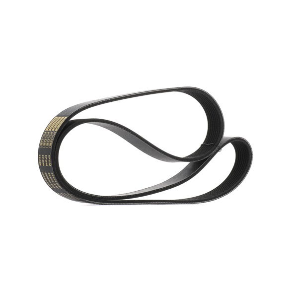 Correia trapezoidal estriada 305P0155P RIDEX PLUS MAZDA 6 SW (GY) 2.0 DI (GY19) 2003 121 cv