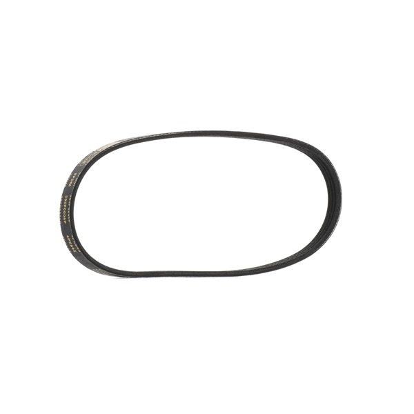 Numéro OEM 71769759 - Courroie Poly-V 305P0006P FIAT, ALFA ROMEO, JEEP, CHRYSLER, LANCIA