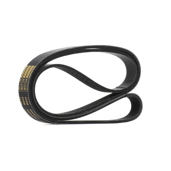 Número OEM 03L 903 137 H - Correa trapecial poli V 305P0421P SEAT, AUDI, SKODA