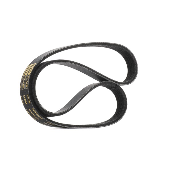Correia trapezoidal estriada 305P0029P RIDEX PLUS OPEL Astra G CC (T98) 1.6 LPG (F08, F48) 1999 101 cv