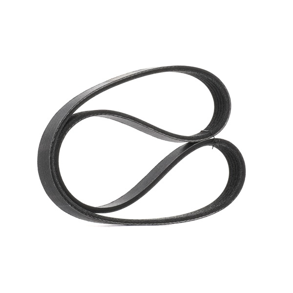 Número OEM 77 01 064 349 - Correia trapezoidal estriada 305P0172P RENAULT, BMW, PEUGEOT, OPEL, CITROËN