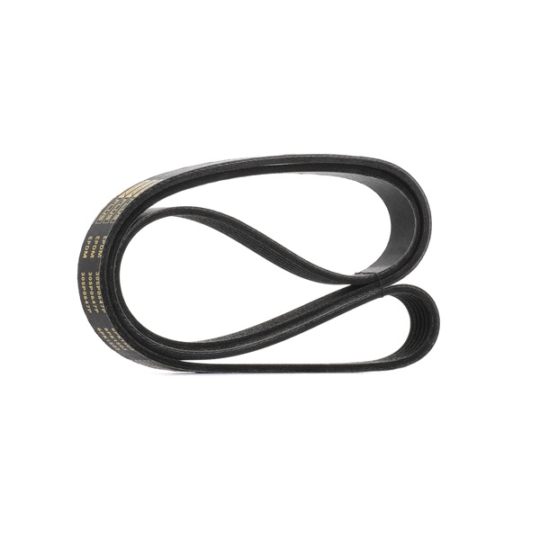 Correia trapezoidal estriada 305P0647P RIDEX PLUS FORD Focus Mk3 Carrinha (DYB) 1.0 EcoBoost 2020 125 cv