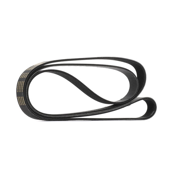 Correia trapezoidal estriada 305P0491P RIDEX PLUS LAND ROVER Discovery IV (L319) 2.7 TD 4x4 2010 190 cv