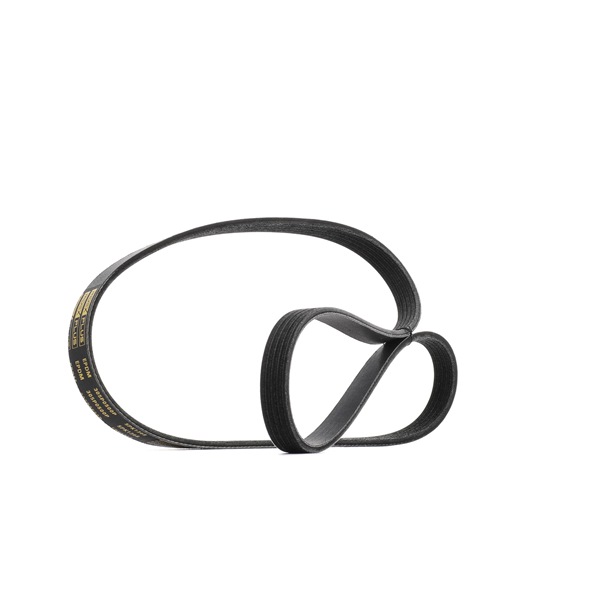 Multireim 305P0500P RIDEX PLUS OPEL Corsa C Hatchback (X01) 1.4 Twinport (F08, F68) 2005 90 hk