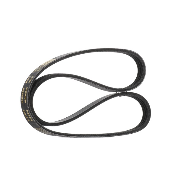 RIDEX PLUS 305P0202P Serpentine belt RENAULT CLIO 1 (B/C57, 5/357) 1.2 58 hp Petrol 1995