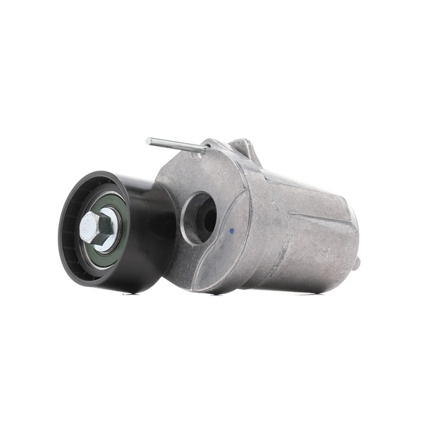 Rolo tensor, correia trapezoidal estriada 310T0072P RIDEX PLUS BMW 7 (F01, F02, F03, F04) 730d 3.0 2008 211 cv