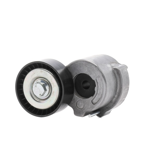 Numéro OEM 55215811 - Poulie, tendeur de courroie d'accessoire 310T0059P OPEL, FIAT, ALFA ROMEO, SUZUKI, CHRYSLER