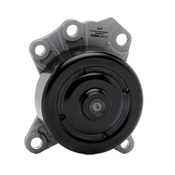 Número OEM 16100 09 531 - Bomba de agua 1260W0676P TOYOTA, LEXUS, DAIHATSU, BUGATTI, WIESMANN