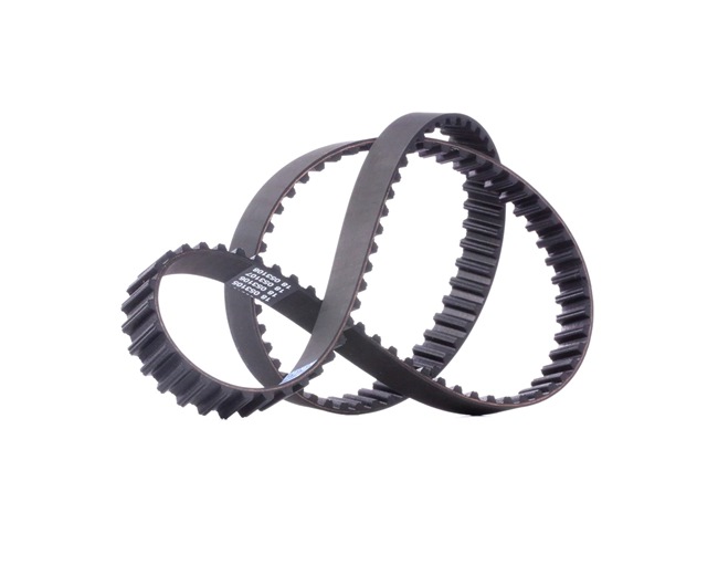 Número OEM 1 005 824 - Correia dentada 94688 FORD, MAZDA, FORD USA, MOSKVICH