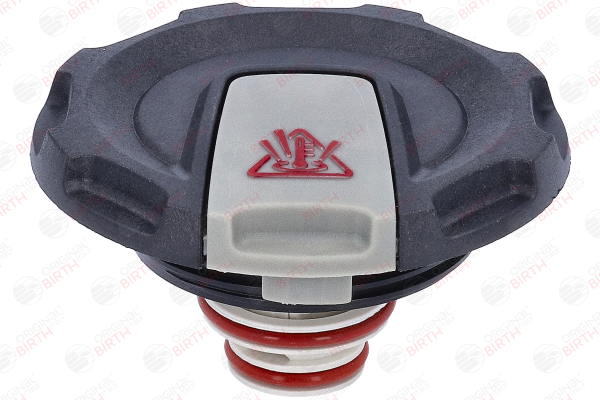 Deckel Ausgleichsbehälter 80694 BIRTH PORSCHE Cayenne Coupe (9YB) 4.0 Turbo AWD (9YBCF1) 2024 550 PS
