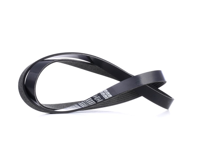 DAYCO 6PK1395S Serpentine belt ALFA ROMEO Giulietta Van (940_) 2.0 JTDM 170 hp Diesel 2014