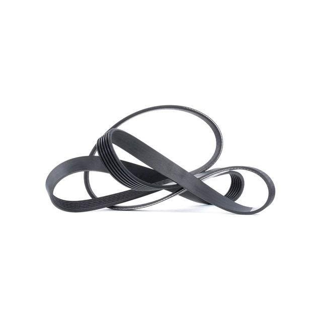 order DAYCO (6PK1725) Serpentine belt