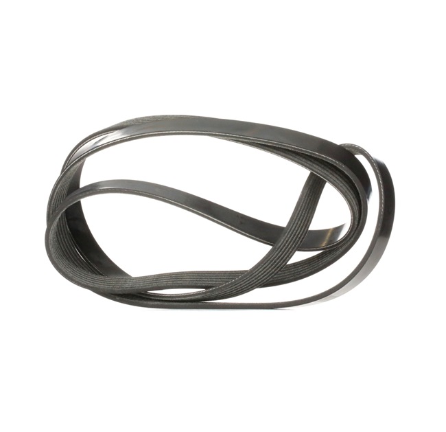 DAYCO 6PK1815S Serpentine belt ALFA ROMEO 156 (932) 1.9 JTD 150 hp Diesel 2004