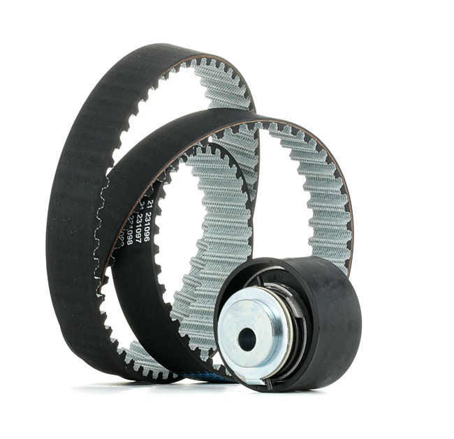 DAYCO KTB282 Kit de distribution Ford Transit MK5