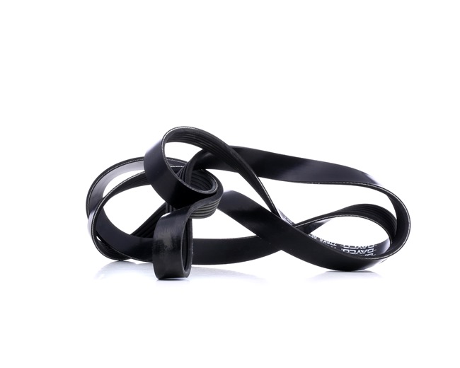 Serpentine belt 6PK1975 DAYCO 53 40 526 FORD, ALFA ROMEO, OPEL, SAAB, LANCIA
