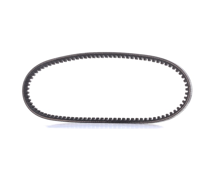 buy DAYCO (10A0636C) V-Belt