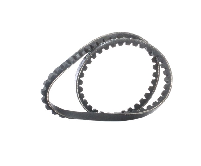 10A0750C DAYCO Vee-belt Length: 750mm, Width: 10,0mm