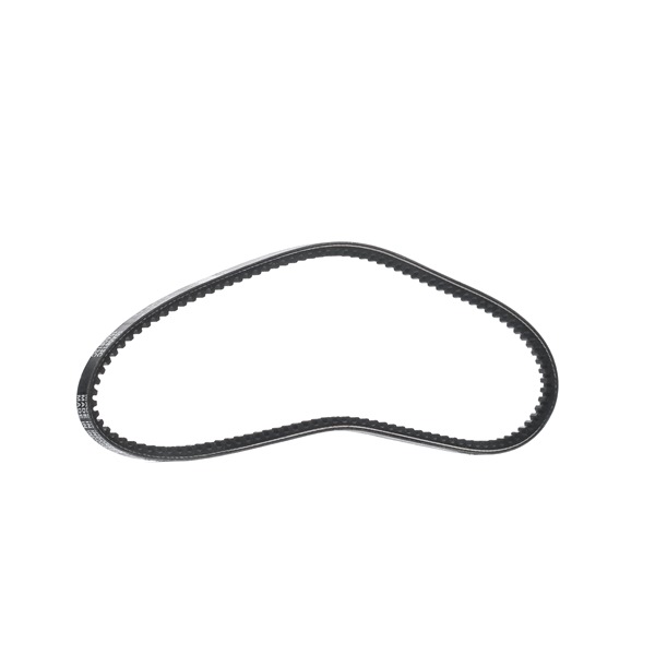 DAYCO | Correia Trapezoidal Comprimento: 813mm, Largura: 10,0mm 10A0813C ROVER 200 Hatchback (XW) 1994 baratos online