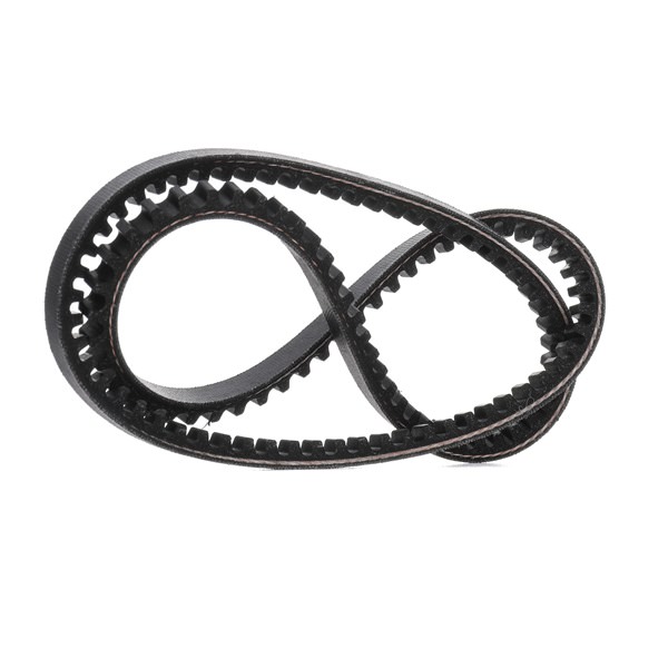 DAYCO | Correia Trapezoidal Comprimento: 840mm, Largura: 10,0mm 10A0840C ROVER Mini-moke Cabrio 1988 baratos online
