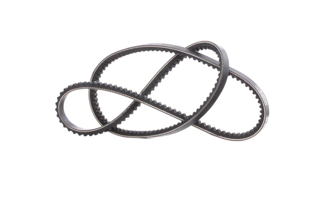 V-riem 10A1175C DAYCO Volkswagen Transporter T3 Flatbed Vrachtwagen/Chassis 2.0 1982 69 Pk